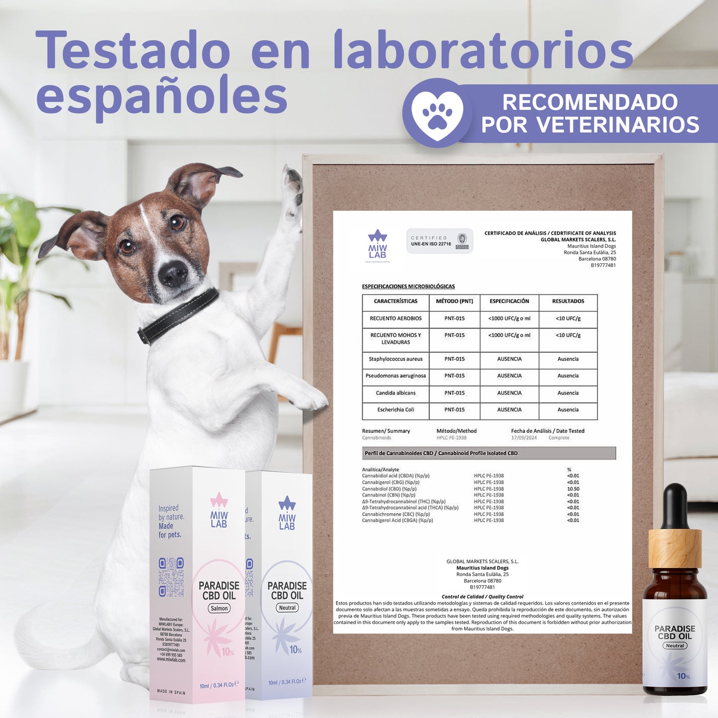 Suplemento de CBD para perros sabor salmón, ideal para paladares exigentes