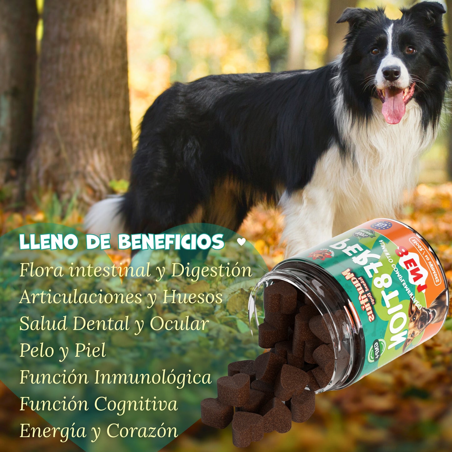 Perf8tion | Complemento 8 en 1 para Perros: Glucosamina, MSM, Condroitina (¡y 5 más!)