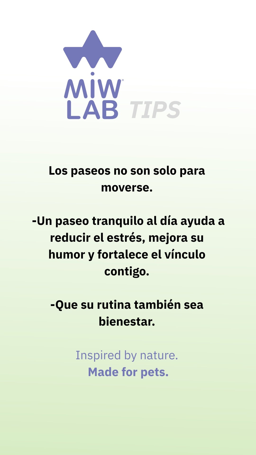 Paradise Four | Pack 4 Aceites CBD para Perros y Gatos