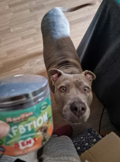 Perf8tion Suplemento 8 en 1 para Perros | Salud Completa