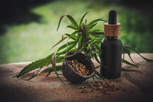 CBD (Cannabidiol) y cannabis para mascotas: ¿Cómo usarlo y para qué sirve? | Comprar en Amazon