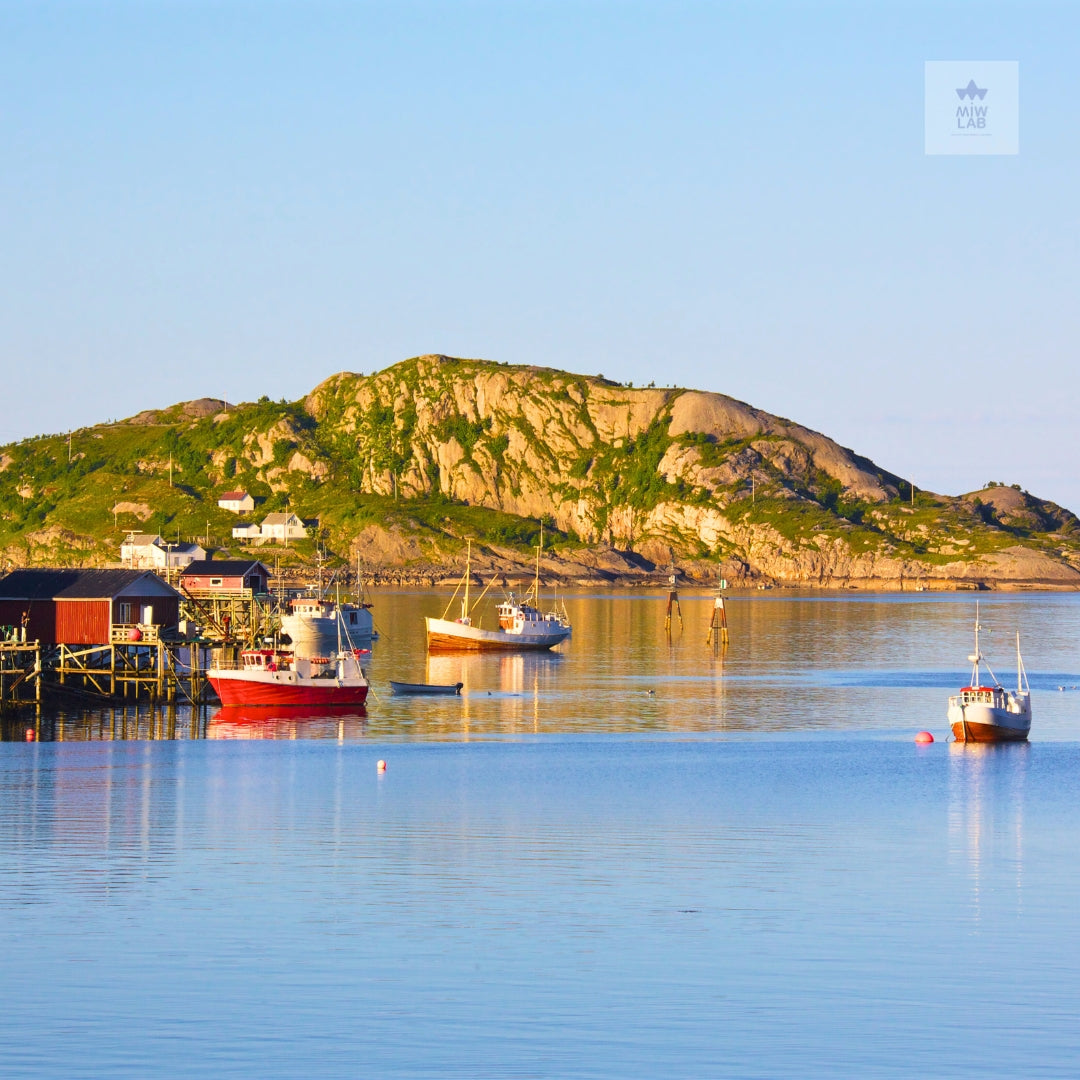 ¿Por qué el Omega 3 es un aliado silencioso en la salud de tu mascota?