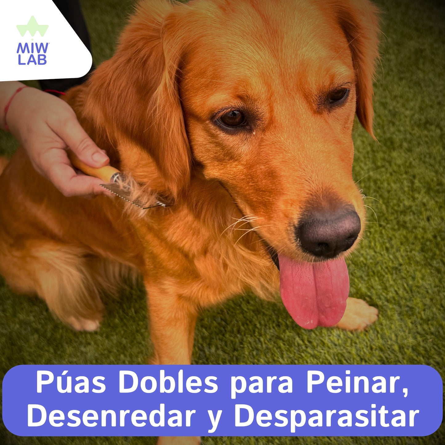 Wellcomb | Peine Ecológico de Bambú & Acero Inoxidable