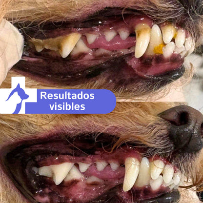 Spray Dental Perros y Gatos | Aliento Fresco | MIWLAB