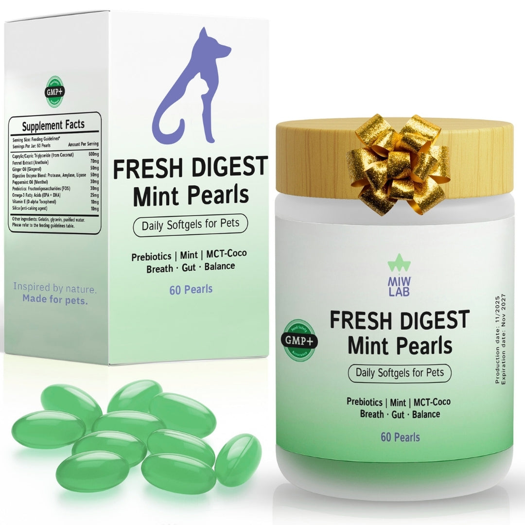 Fresh Digest | Prebióticos con Enzimas y Menta para Mal Aliento y Digestión