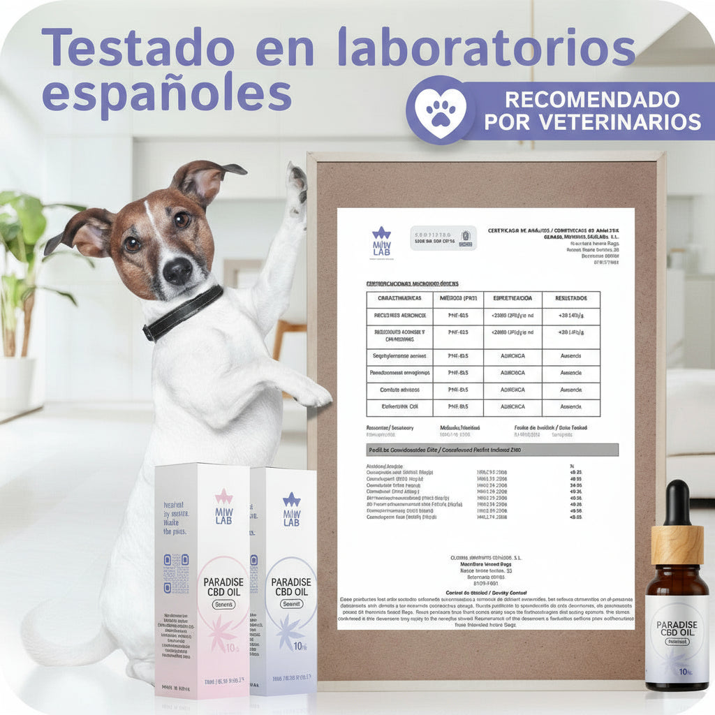 Suplemento de CBD para perros sabor salmón, ideal para paladares exigentes