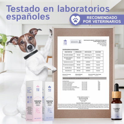 Suplemento de CBD para perros sabor salmón, ideal para paladares exigentes