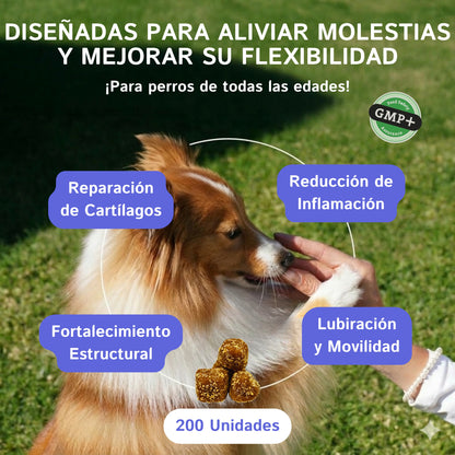 Articulaciones para Perros | Suplemento con Glucosamina, Condroitina, MSM y Omega-3 | 200 g | MIWLAB