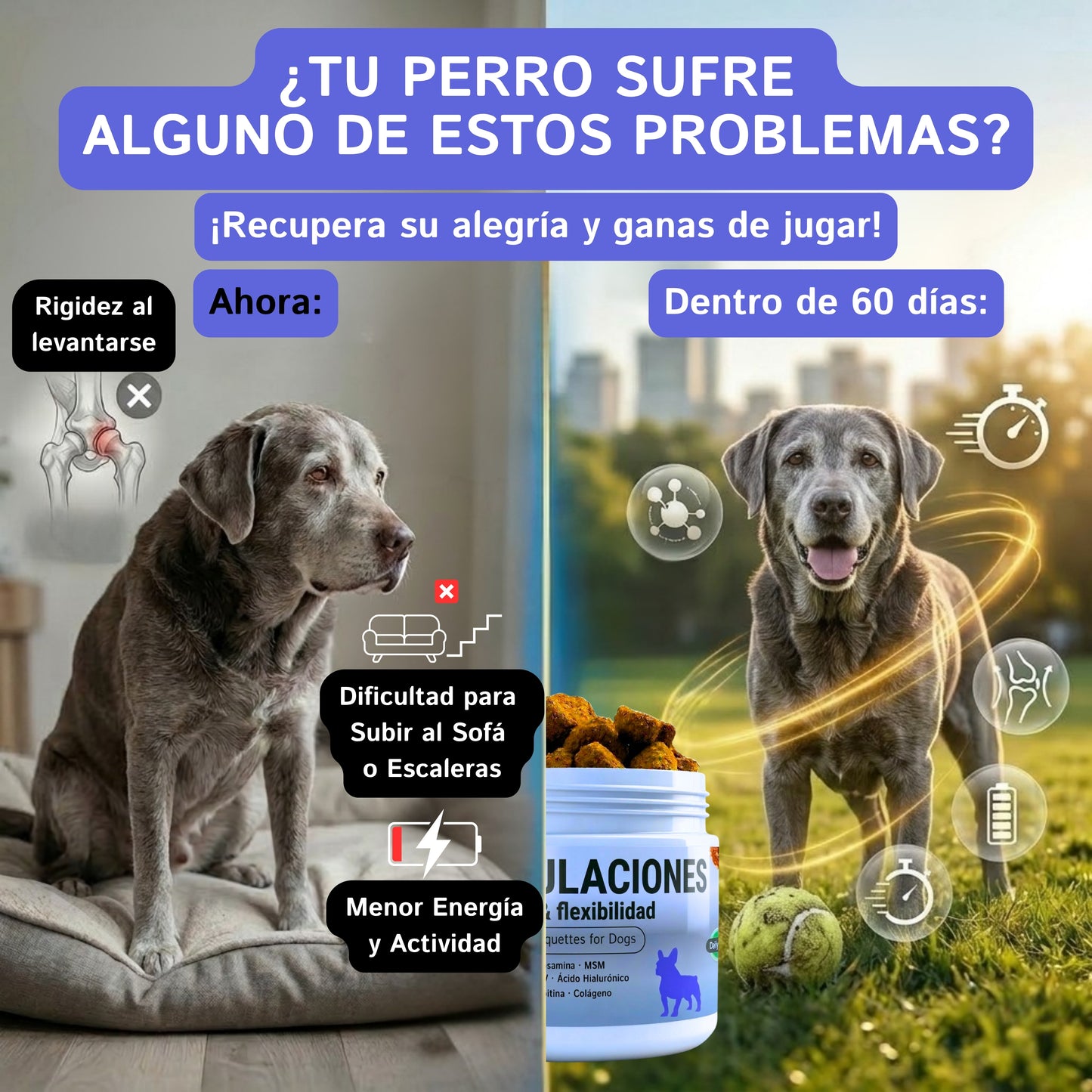 Articulaciones para Perros | Suplemento con Glucosamina, Condroitina, MSM y Omega-3 | 200 g | MIWLAB
