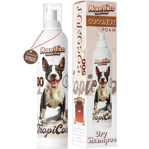 Foam Coco | Champú 500ml Mousse Natural de Coco
