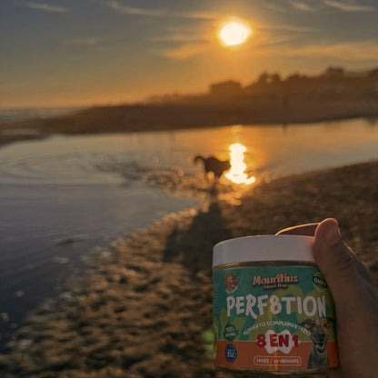 Perf8tion | Complemento 8 en 1 para Perros: Glucosamina, MSM, Condroitina (¡y 5 más!)