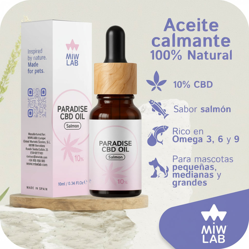 Perro pequeño junto al frasco de CBD neutral para calmar el estrés