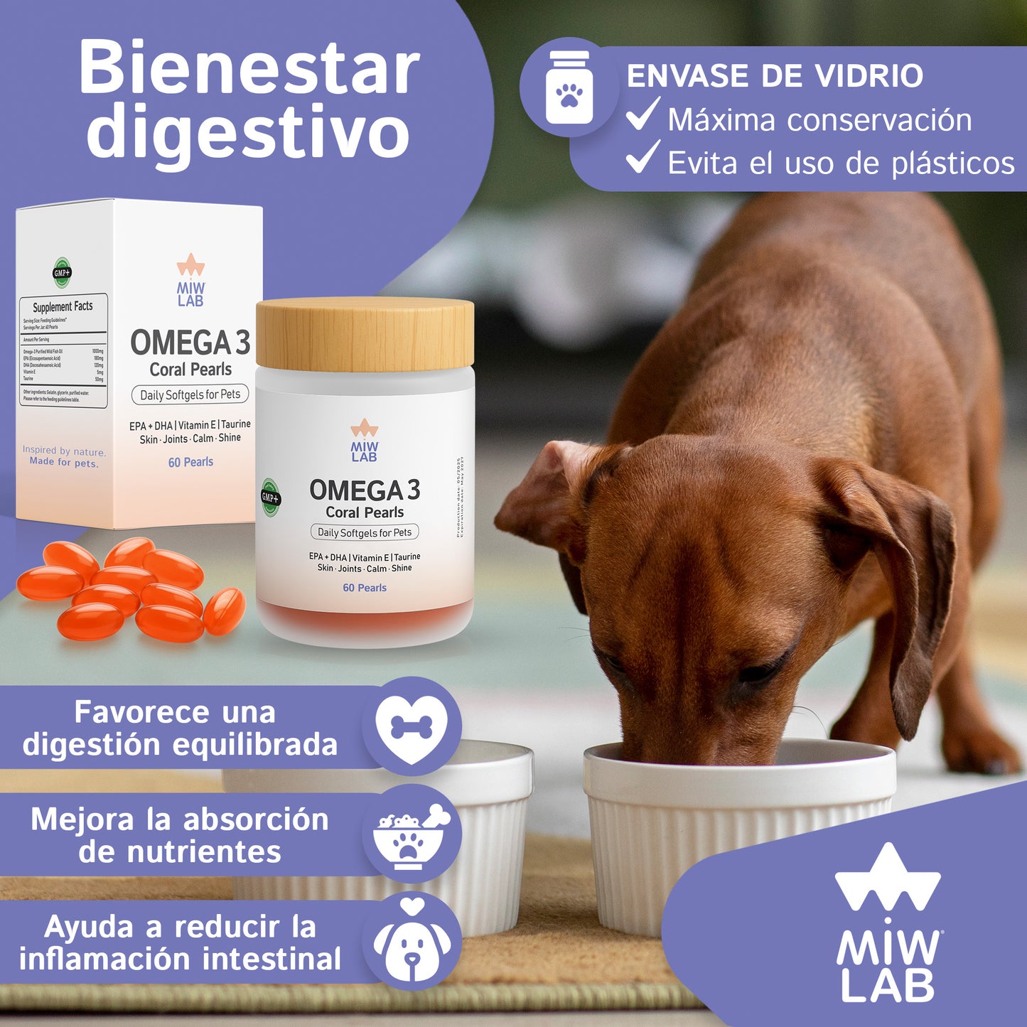 Omega 3 Coral Pearls | EPA + DHA + Vitamina E + Taurina