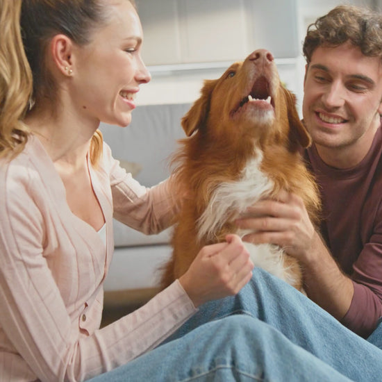 Omega 3 para perros y gatos con Vitamina E y taurina 100% natural capsulas blandas