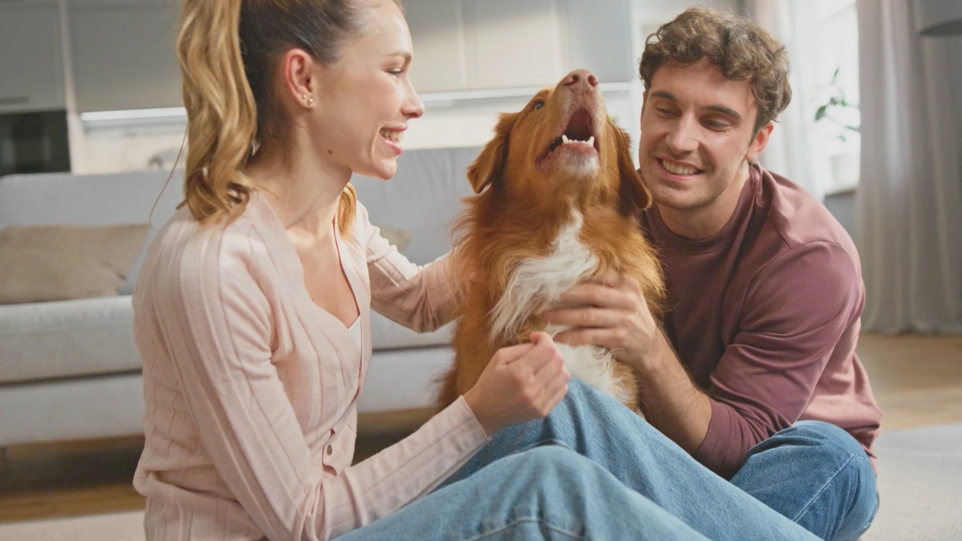 Omega 3 para perros y gatos con Vitamina E y taurina 100% natural capsulas blandas