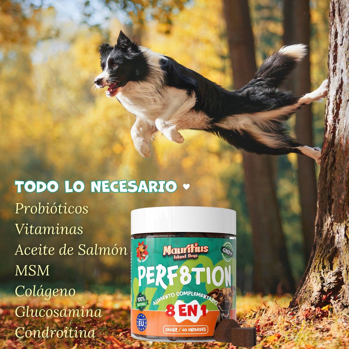 Suplemento 8 en 1 para Perros – PERF8TION de MIWLAB®