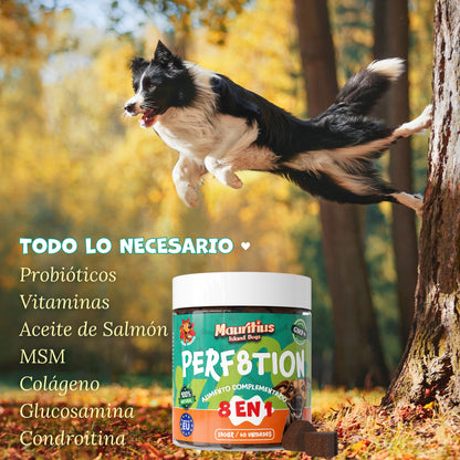 Suplemento 8 en 1 para Perros – PERF8TION de MIWLAB®