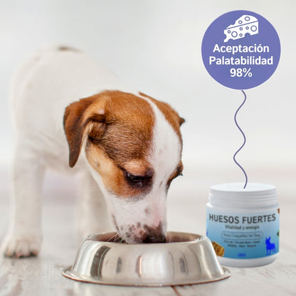 Huesos Fuertes | Condroprotector Perro Vitalidad y Energía 200Uds