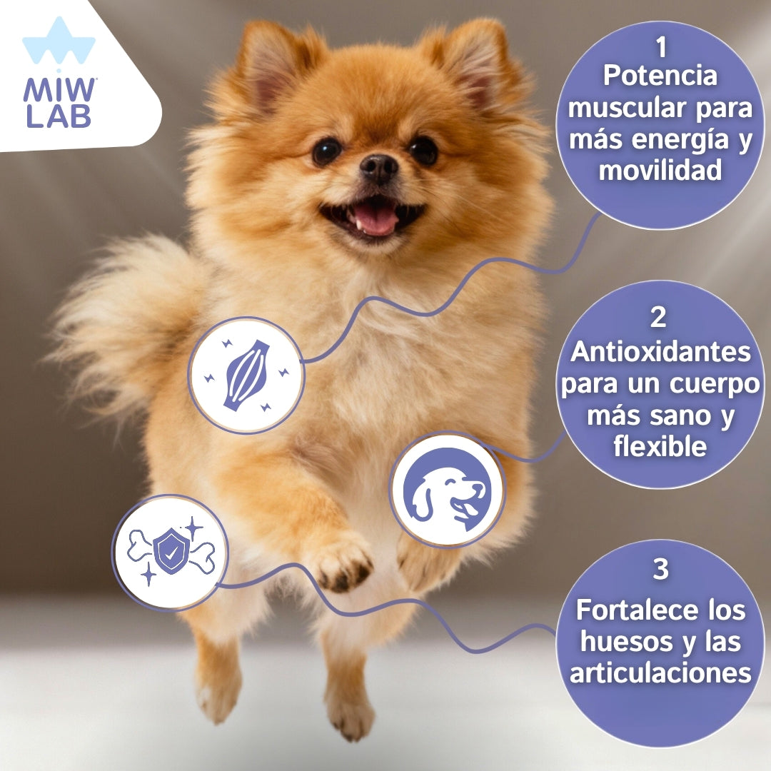 Huesos Fuertes | Condroprotector Perro Vitalidad y Energía 200Uds