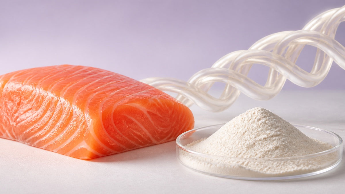 Colágeno de salmón
